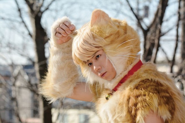 映画『トラさん～僕が猫になったワケ～』場面写真