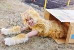 映画『トラさん〜僕が猫になったワケ〜』場面写真