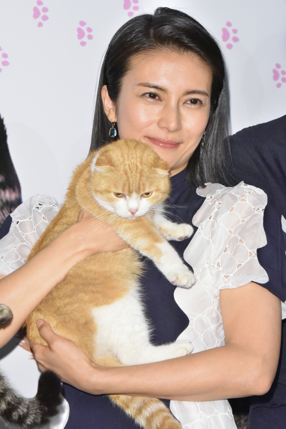 柴咲コウ、猫との生活は「苦労でもあり幸せ」 あふれる猫愛を明かす