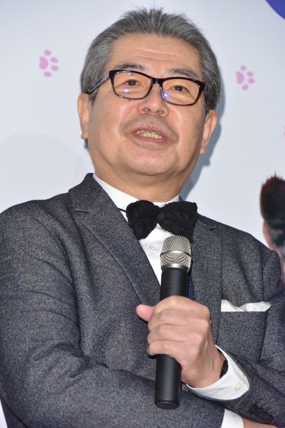 柴咲コウ、猫との生活は「苦労でもあり幸せ」 あふれる猫愛を明かす