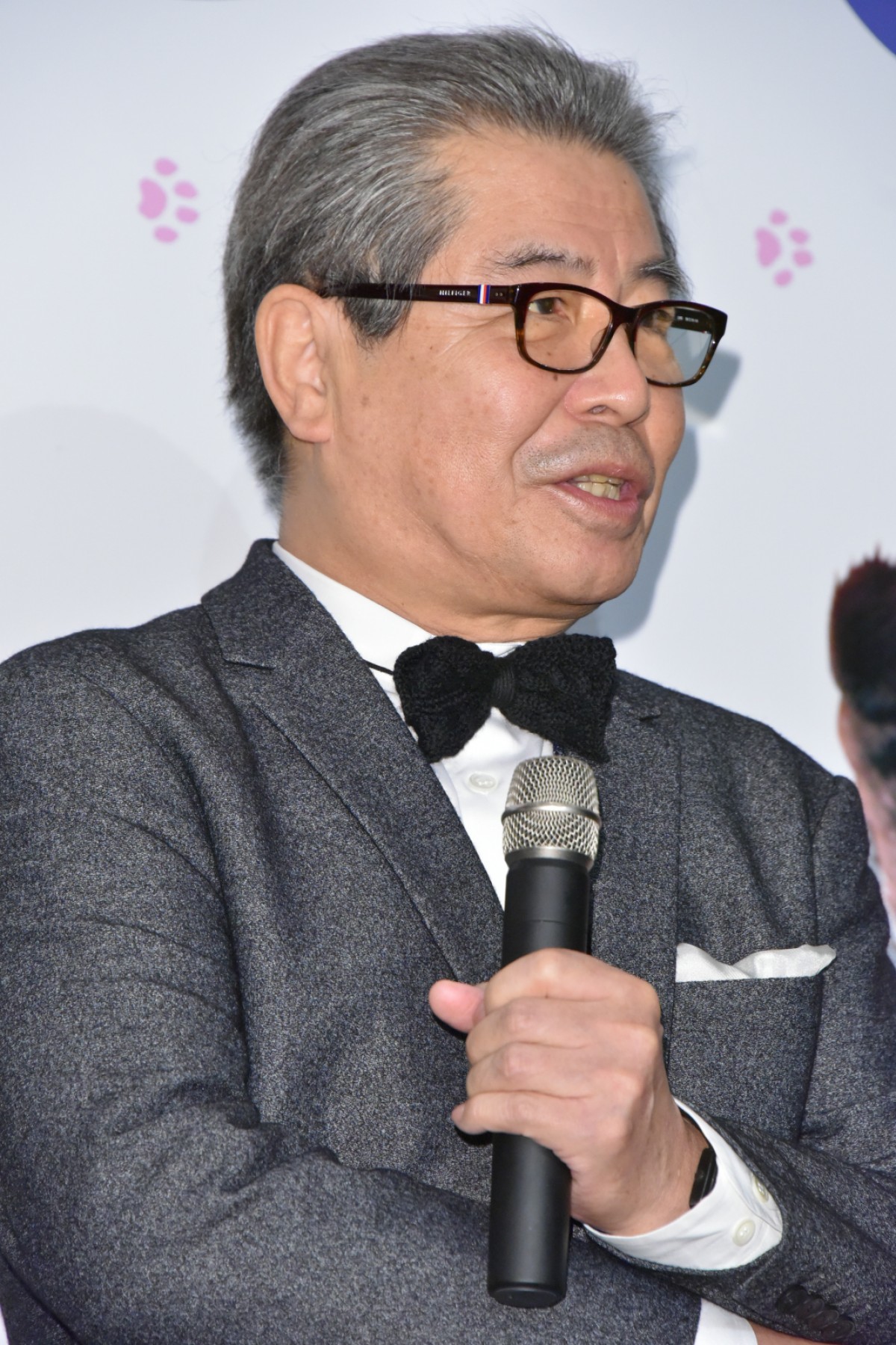 柴咲コウ、猫との生活は「苦労でもあり幸せ」 あふれる猫愛を明かす
