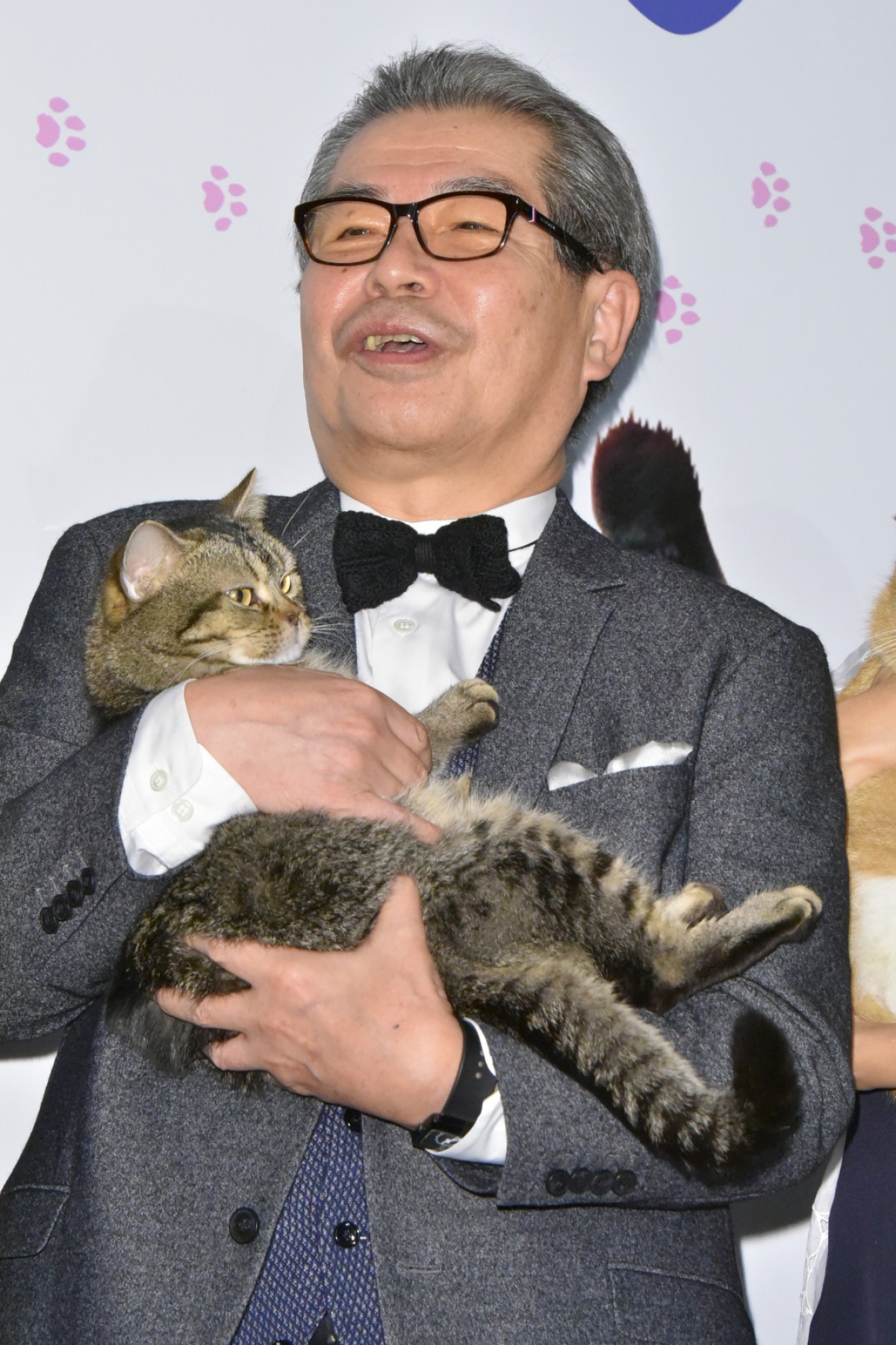 柴咲コウ、猫との生活は「苦労でもあり幸せ」 あふれる猫愛を明かす