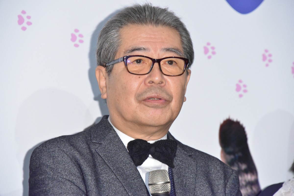 柴咲コウ、猫との生活は「苦労でもあり幸せ」 あふれる猫愛を明かす