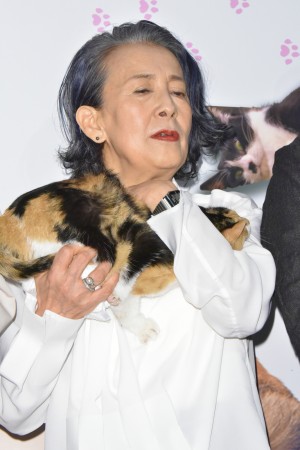 映画『ねことじいちゃん』初日舞台挨拶に登場した銀粉蝶