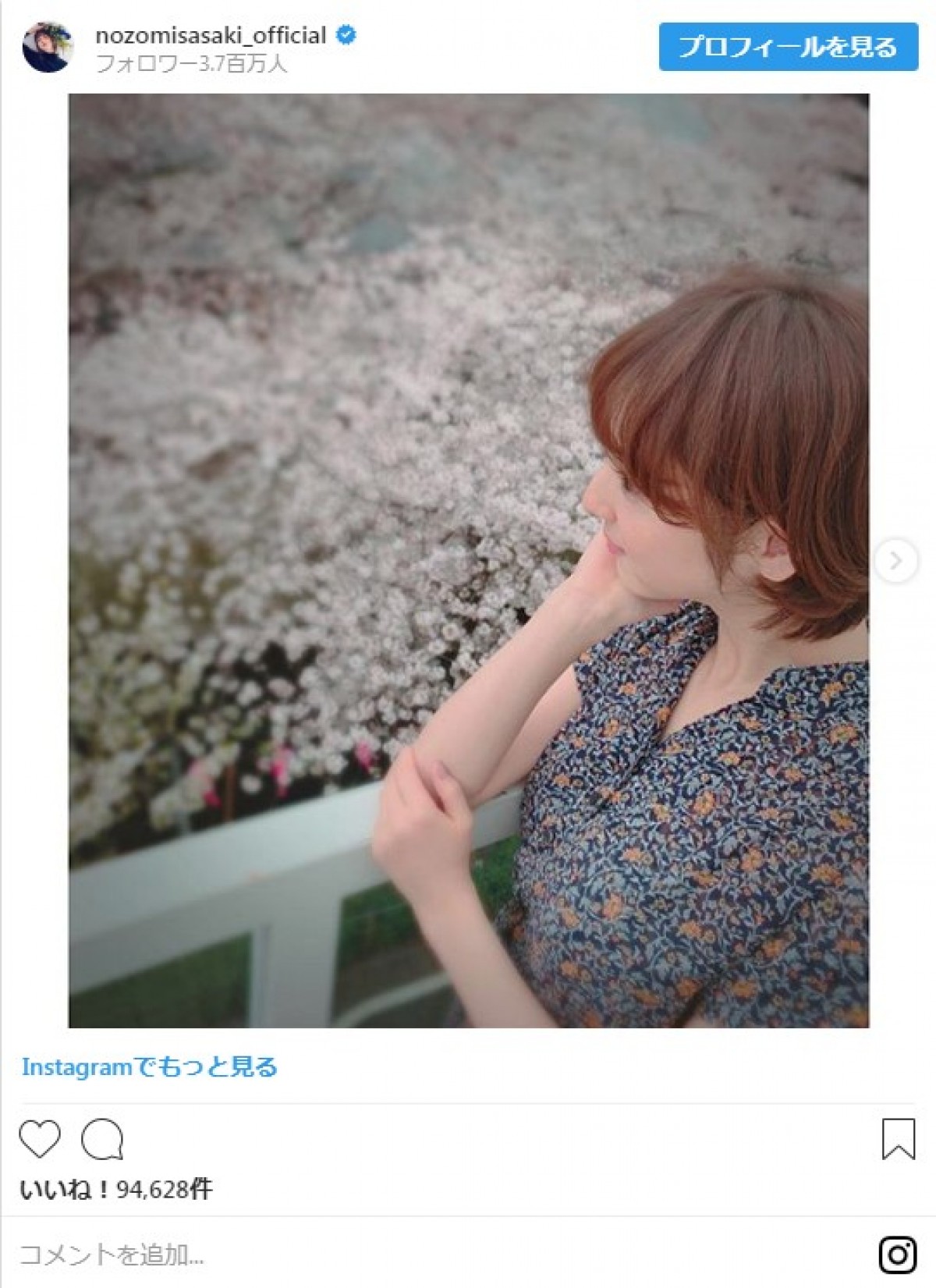 “サクラ×美女”佐々木希、弘中アナ、平祐奈らの美しいお花見ショットに反響