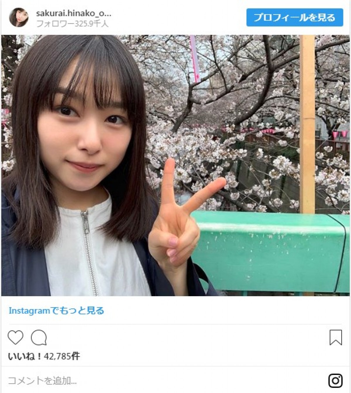 “サクラ×美女”佐々木希、弘中アナ、平祐奈らの美しいお花見ショットに反響