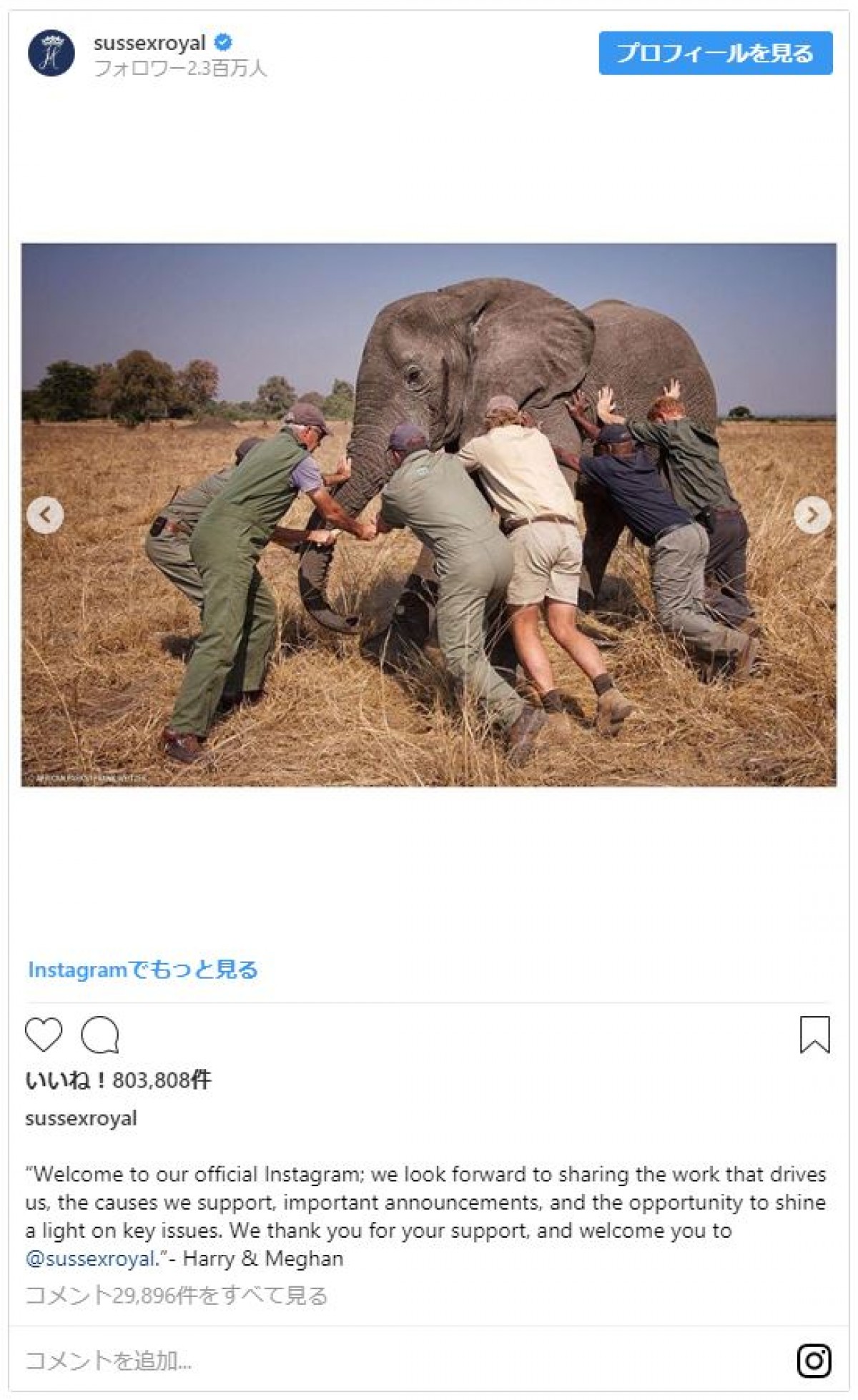 ヘンリー王子＆メーガン妃、独自の公式インスタグラムを開設