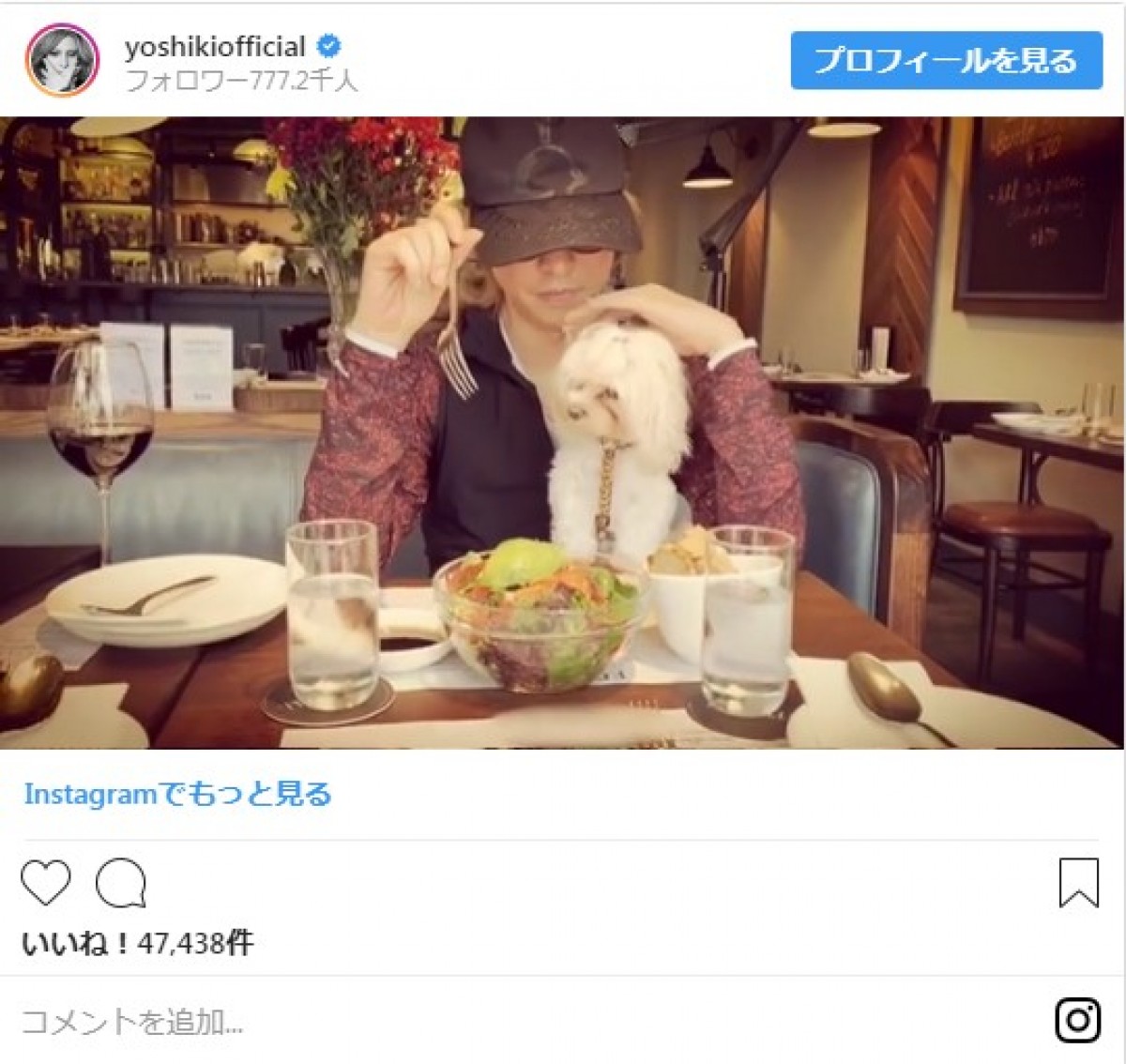 YOSHIKI、愛犬と一緒にランチ　仲むつまじい姿に「一生見てられる」と反響