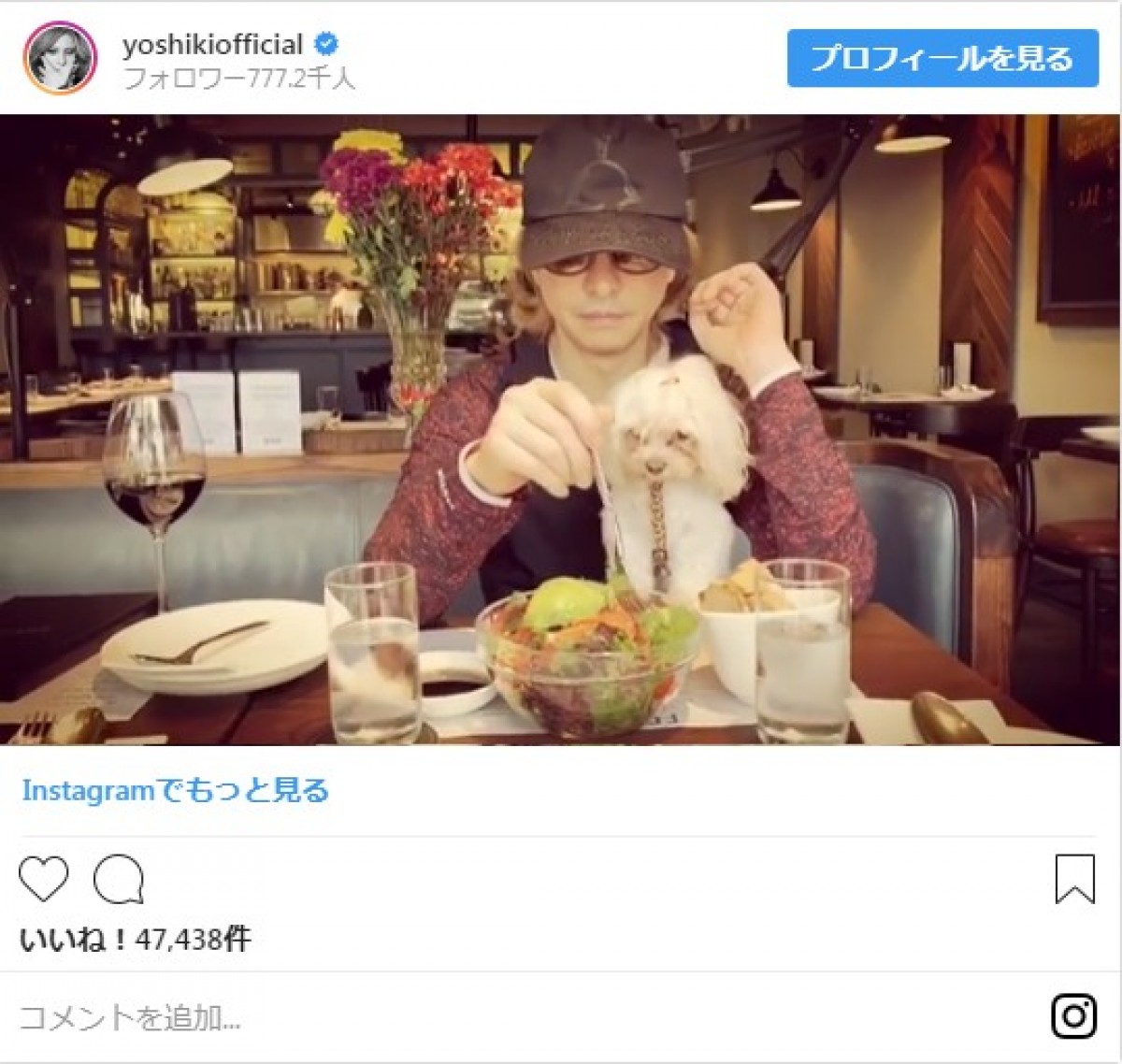 YOSHIKI、愛犬と一緒にランチ　仲むつまじい姿に「一生見てられる」と反響