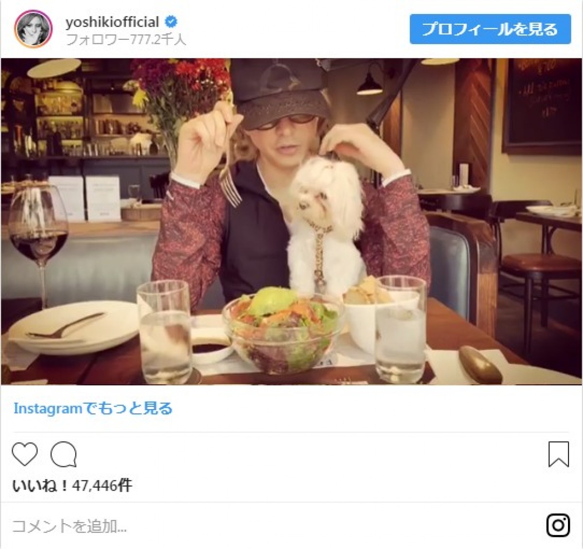 YOSHIKI、愛犬と一緒にランチ　仲むつまじい姿に「一生見てられる」と反響