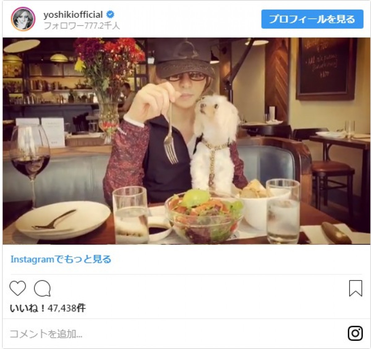 YOSHIKI、愛犬と一緒にランチ　仲むつまじい姿に「一生見てられる」と反響