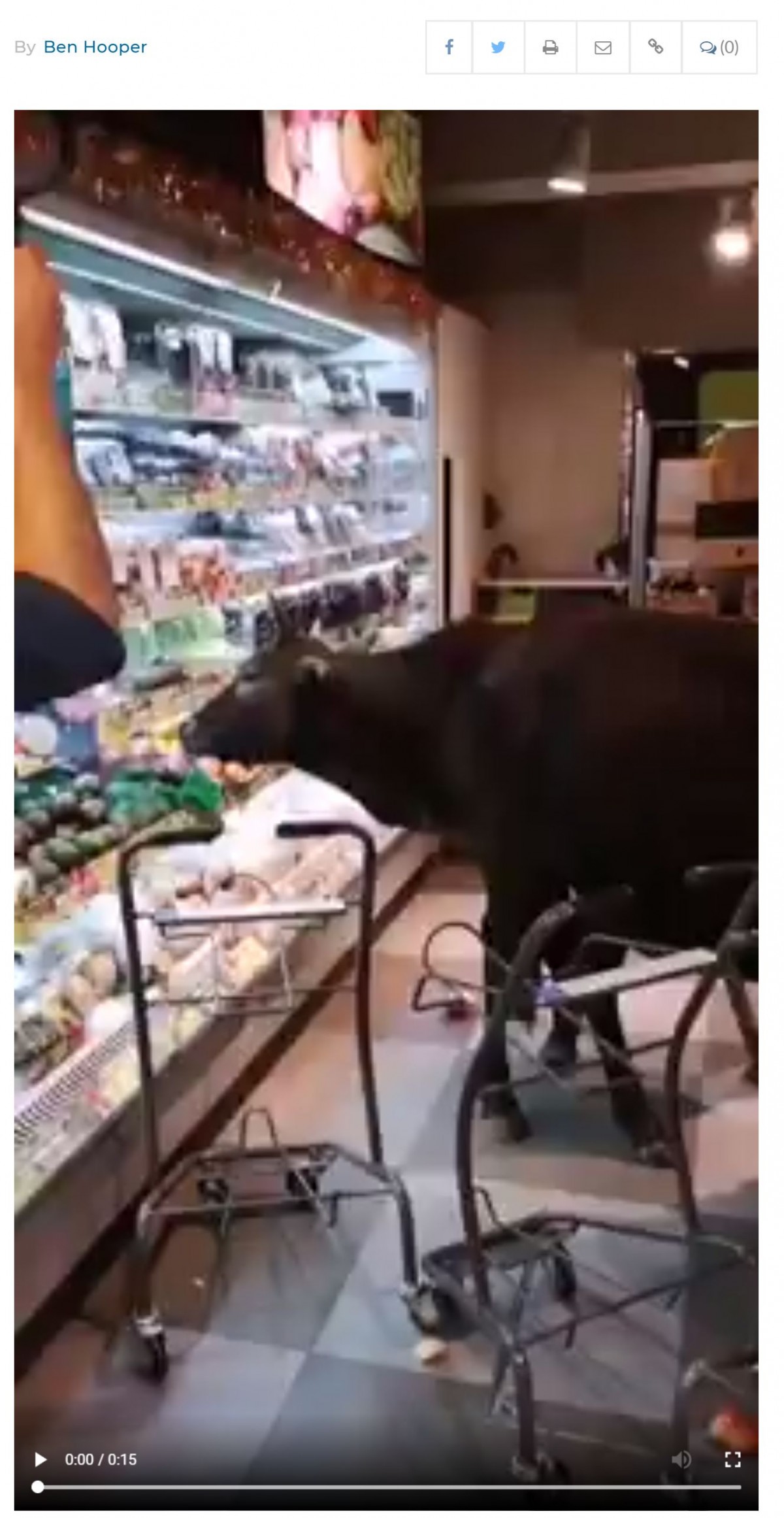牛がスーパーに侵入！ 好き勝手に食事