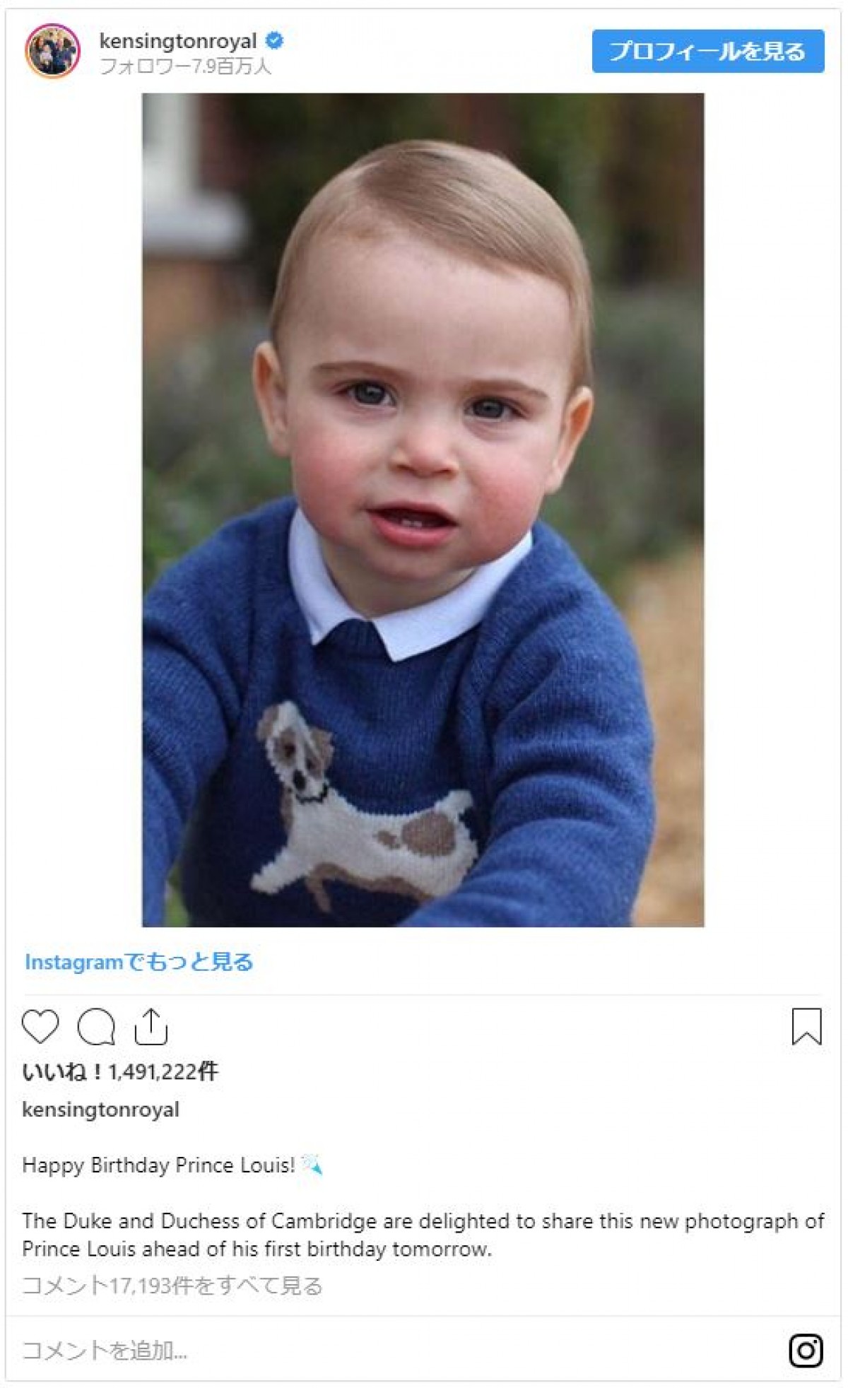 超絶キュート！ 英ルイ王子、1歳の記念ポートレート公開