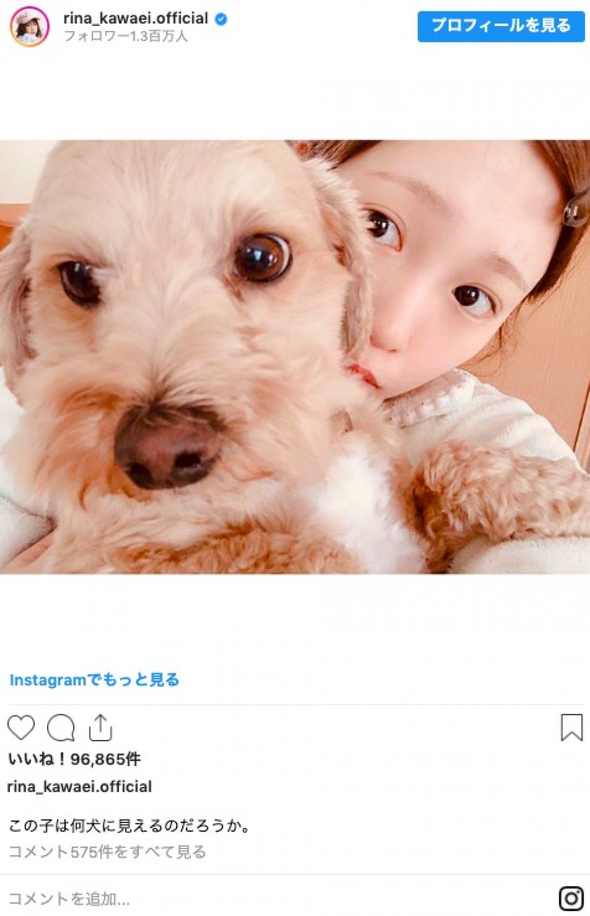 川栄李奈、愛犬との2ショットに「似てる」「かわいい」の声