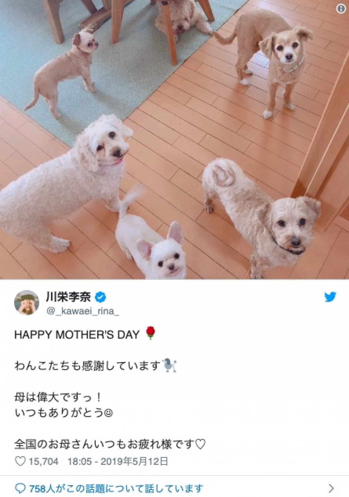 川栄李奈、愛犬との2ショットに「似てる」「かわいい」の声