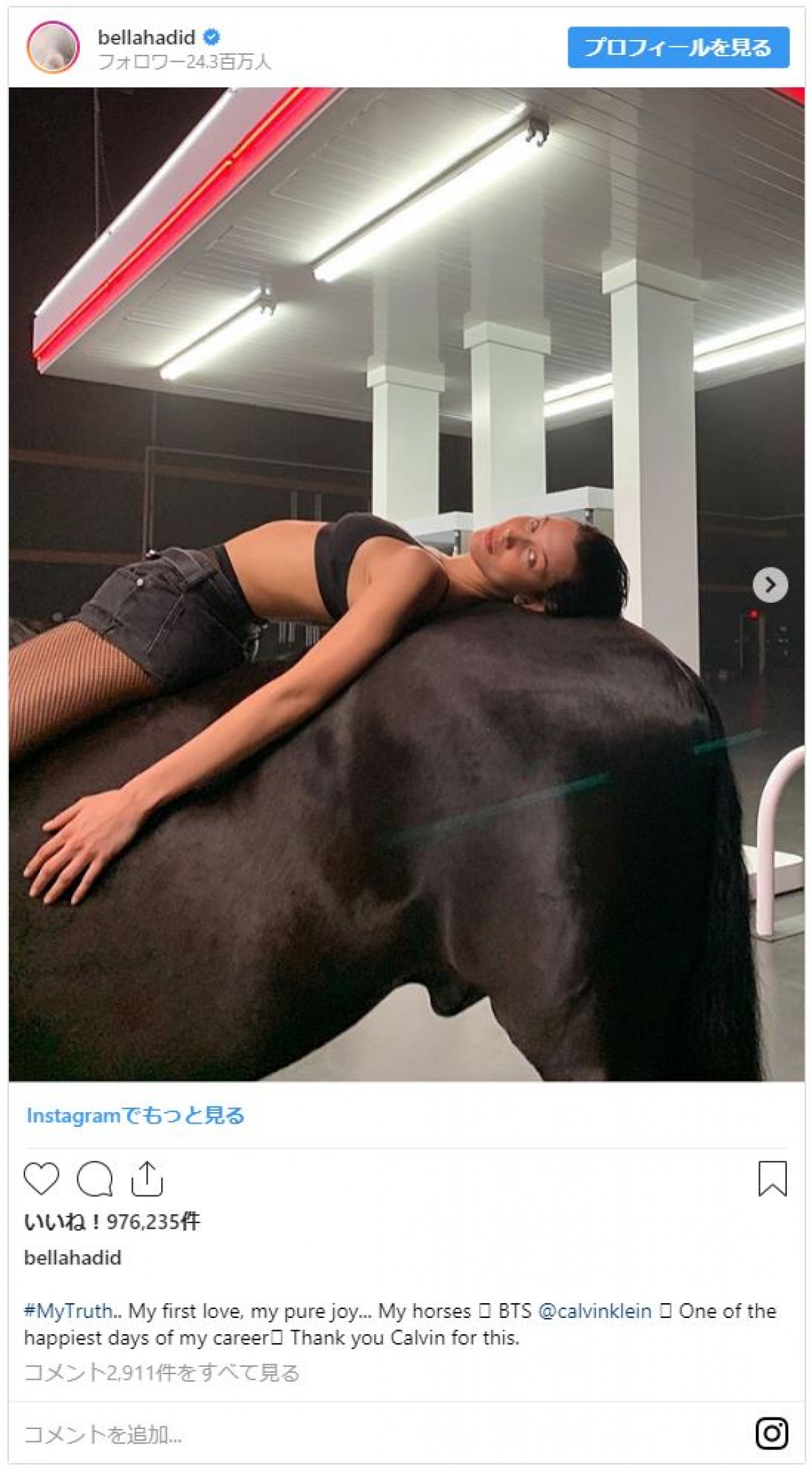 ベラ・ハディッド、カルバン・クライン下着モデルで馬と共演　美プロポーション披露