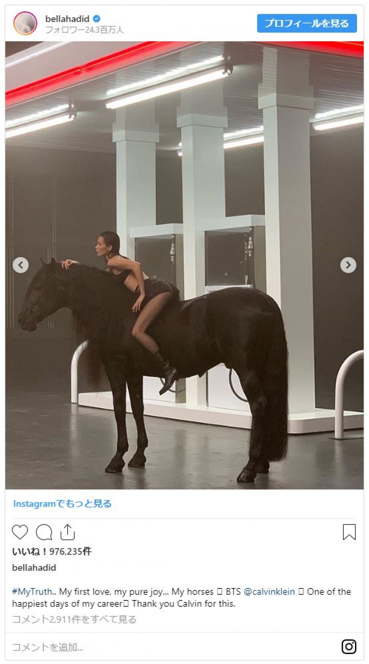 ベラ・ハディッド、カルバン・クライン下着モデルで馬と共演　美プロポーション披露