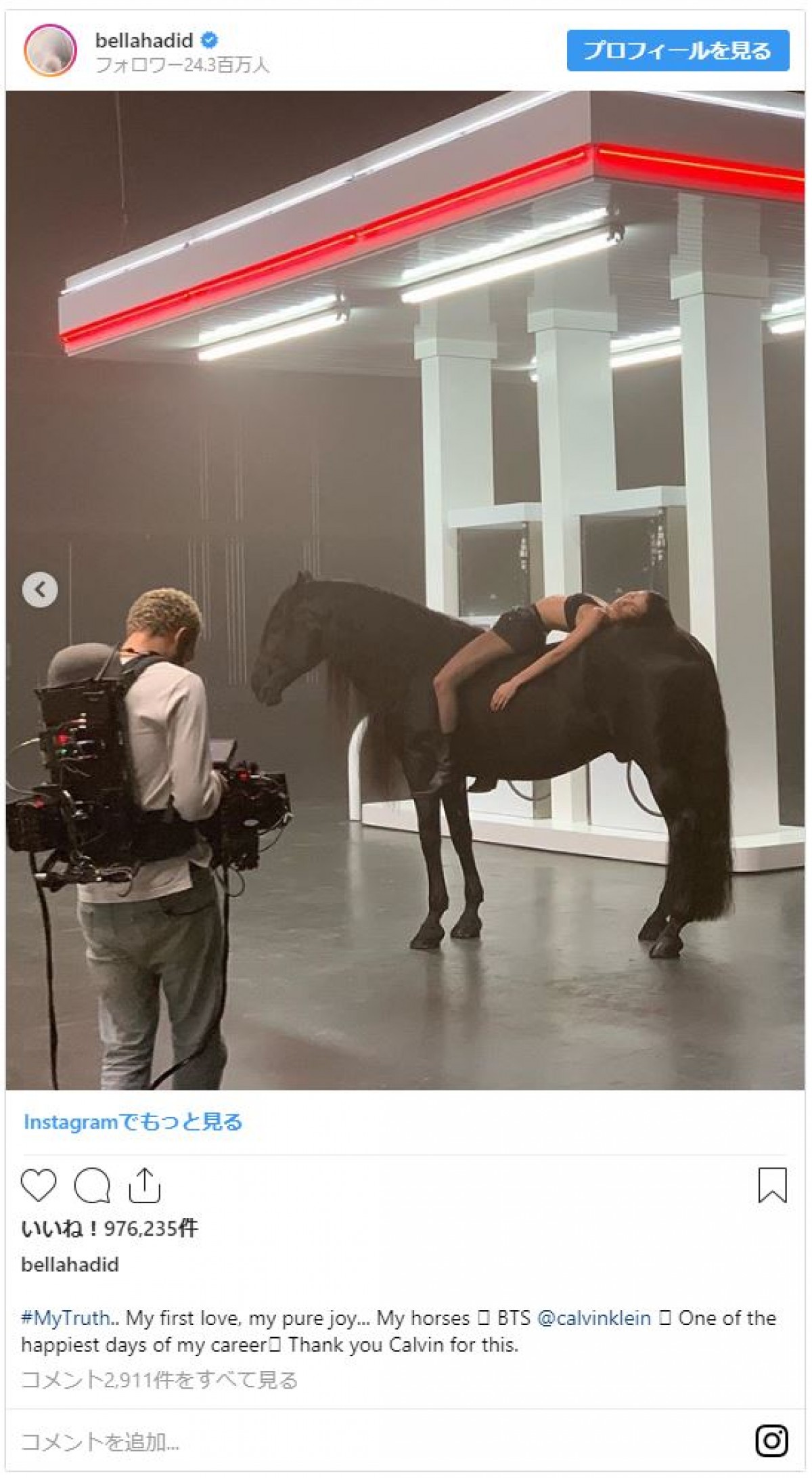 ベラ・ハディッド、カルバン・クライン下着モデルで馬と共演　美プロポーション披露