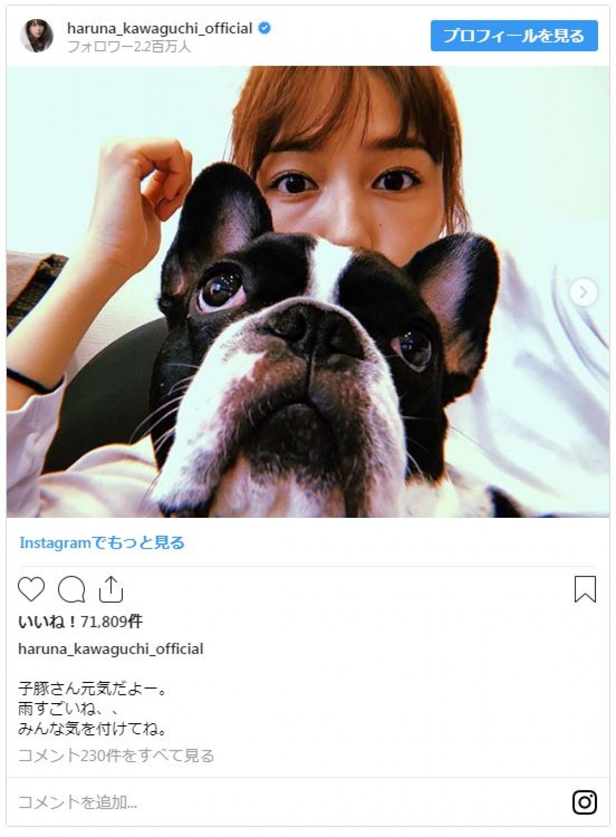 川口春奈、愛犬との愛くるしい2ショット　ファンから「似てる」の声も