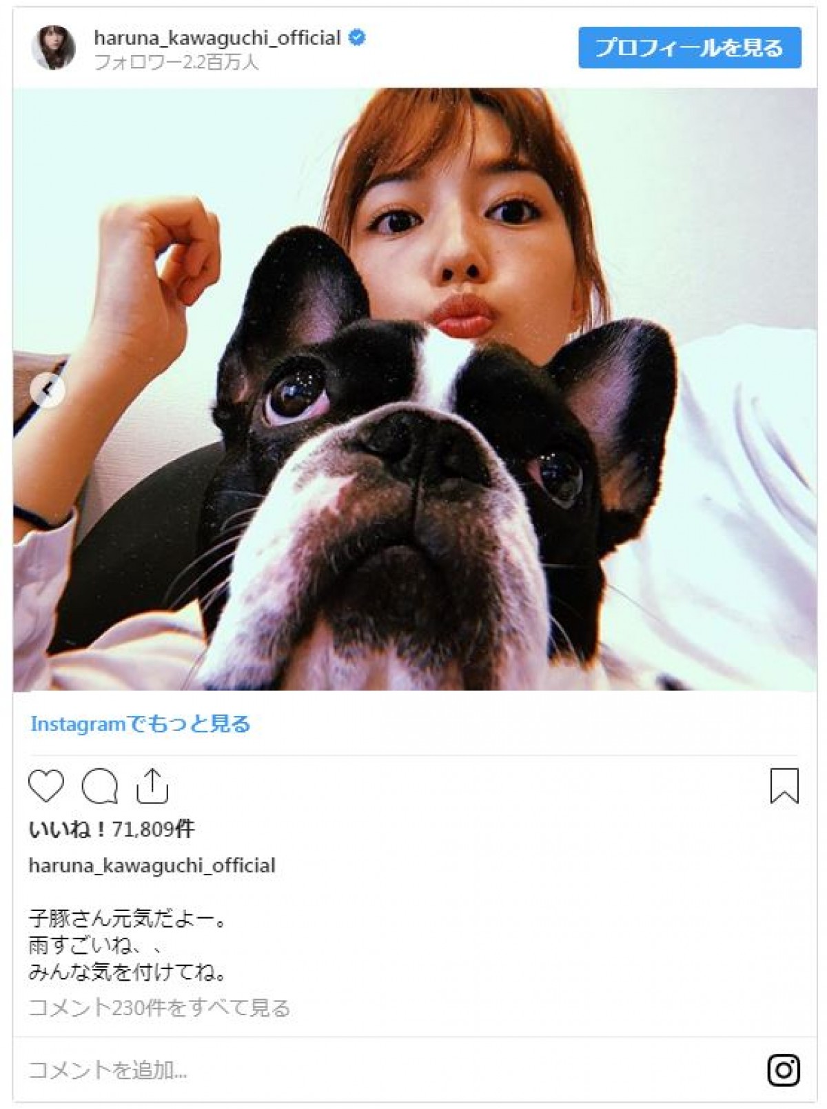 川口春奈、愛犬との愛くるしい2ショット　ファンから「似てる」の声も