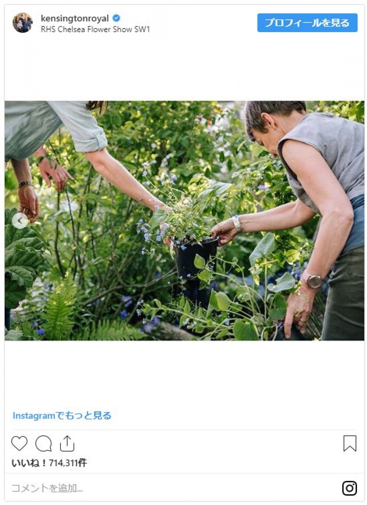 ジョージ王子＆シャーロット王女＆ルイ王子、キャサリン妃の庭ではしゃぐ姿がかわいすぎ！