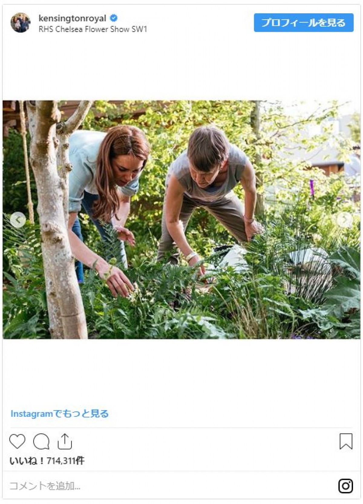 ジョージ王子＆シャーロット王女＆ルイ王子、キャサリン妃の庭ではしゃぐ姿がかわいすぎ！