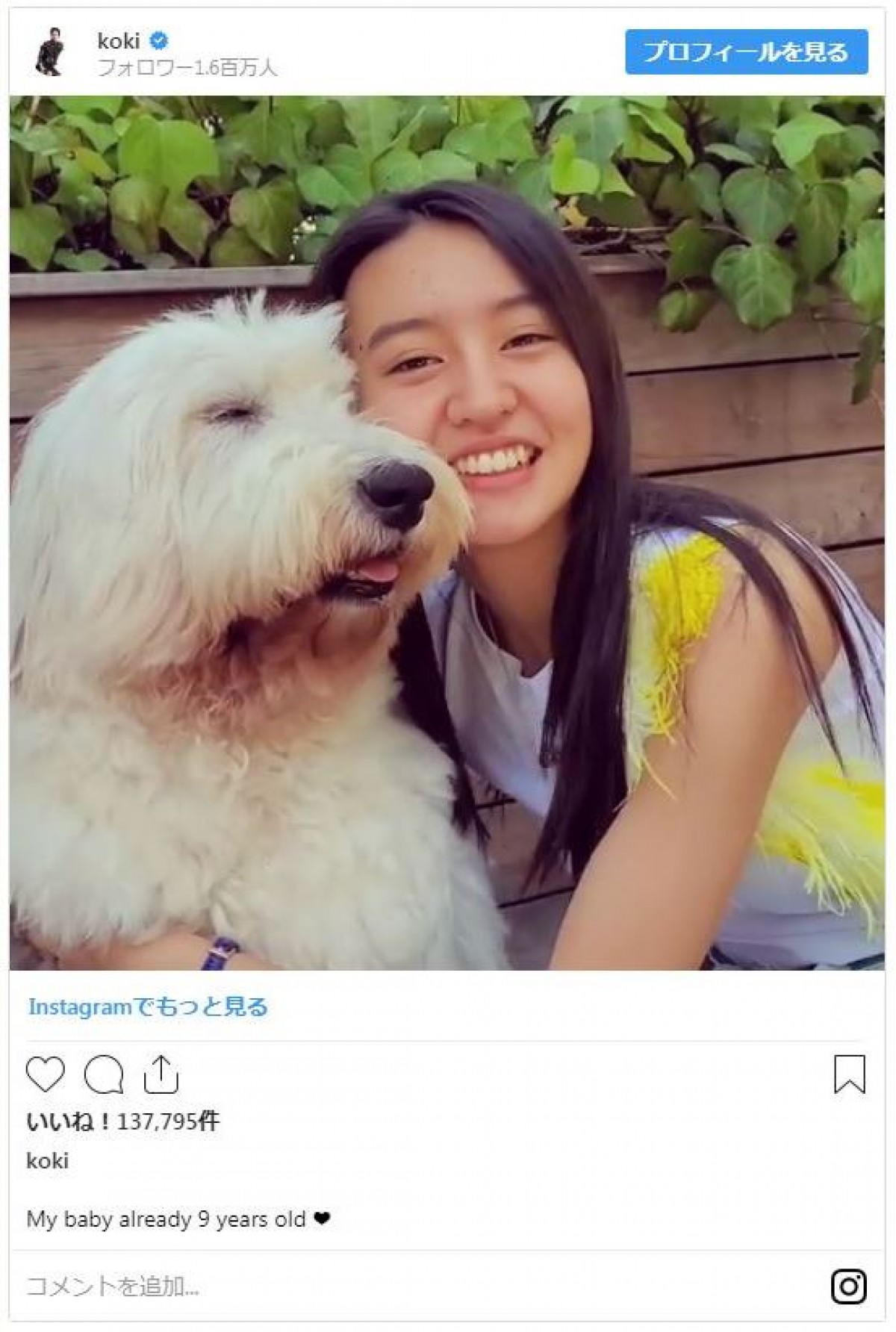 Koki,がキス＆ハグ！ 愛犬とのラブラブ動画にファンほっこり