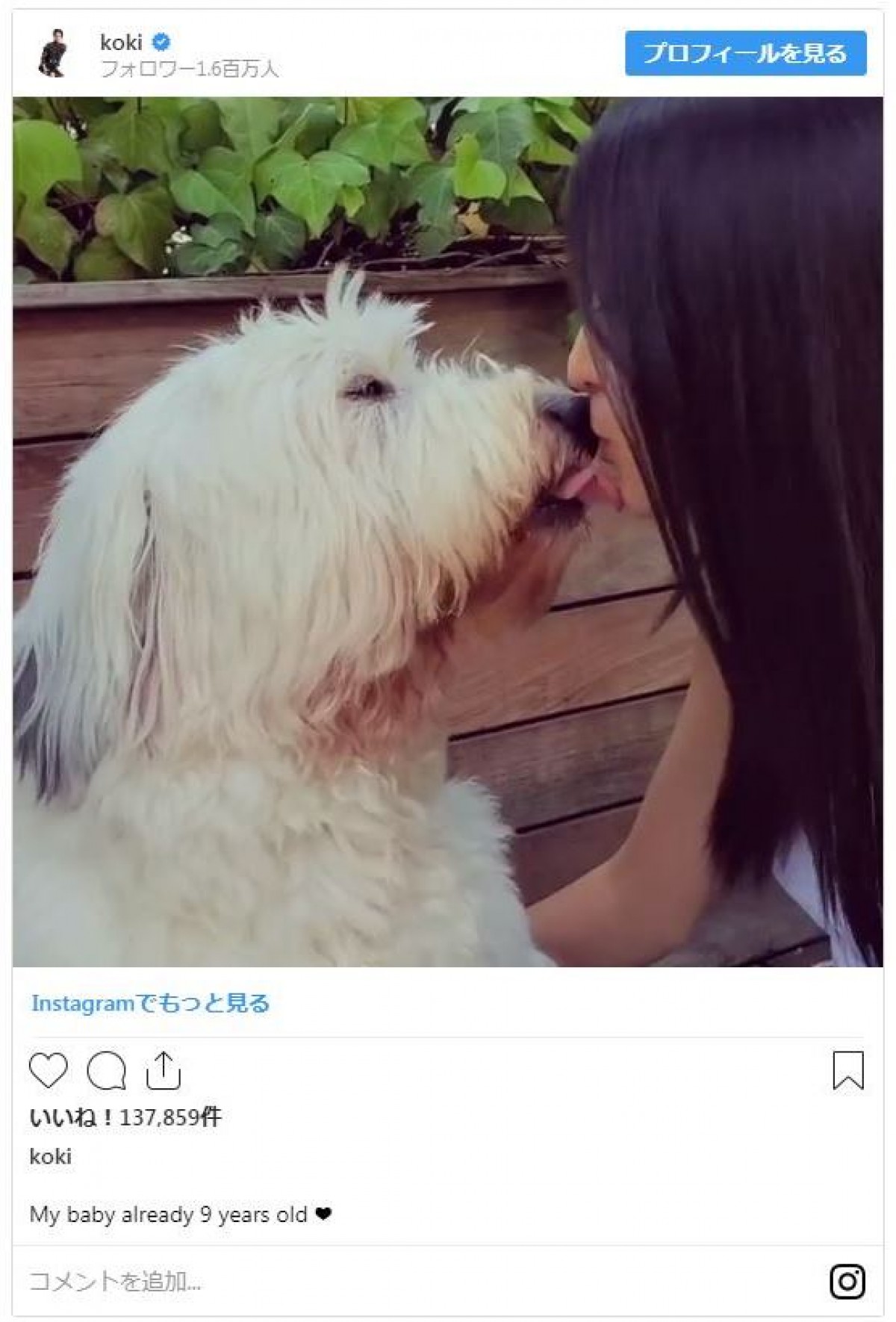 Koki,がキス＆ハグ！ 愛犬とのラブラブ動画にファンほっこり