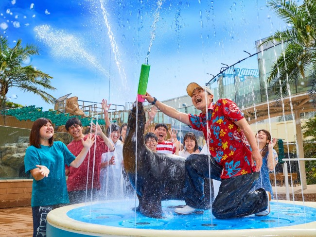 サンシャイン水族館、7月19日（金）から夏フェス開催　アシカがゲストをびちょ濡れに