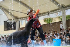 サンシャイン水族館 夏フェス2019