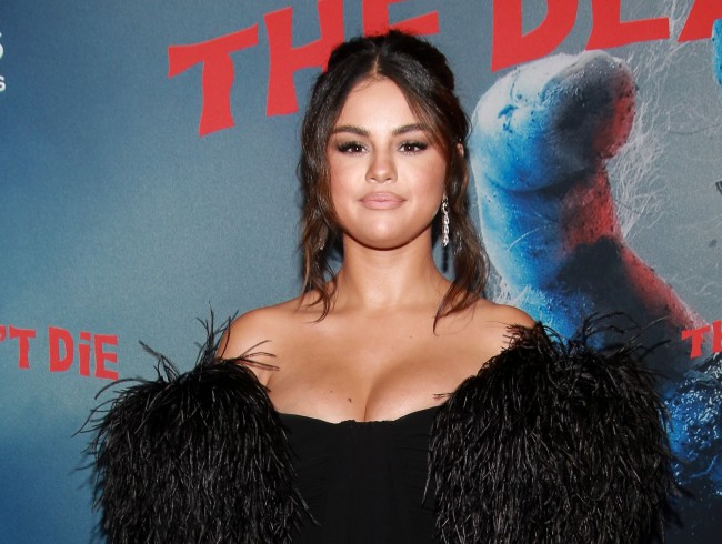 セレーナ・ゴメス、Selena Gomez