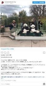 ※「橋本環奈」ツイッター
