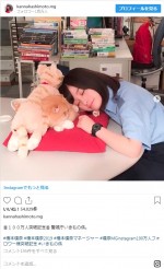 ※「橋本環奈」インスタグラム