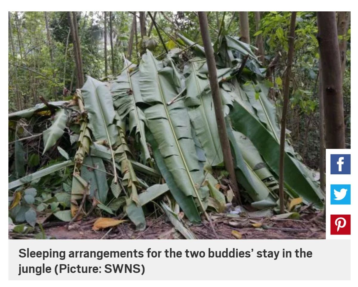 サバイバル中毒の男たち！熱帯雨林で虫を食べ裸で3週間生活