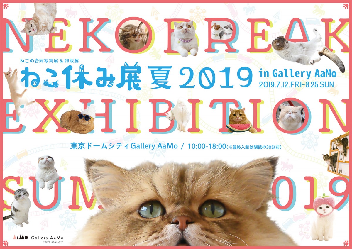 「ねこ休み展」、7．12から開催　新作展示やお化け屋敷テーマの映像が登場