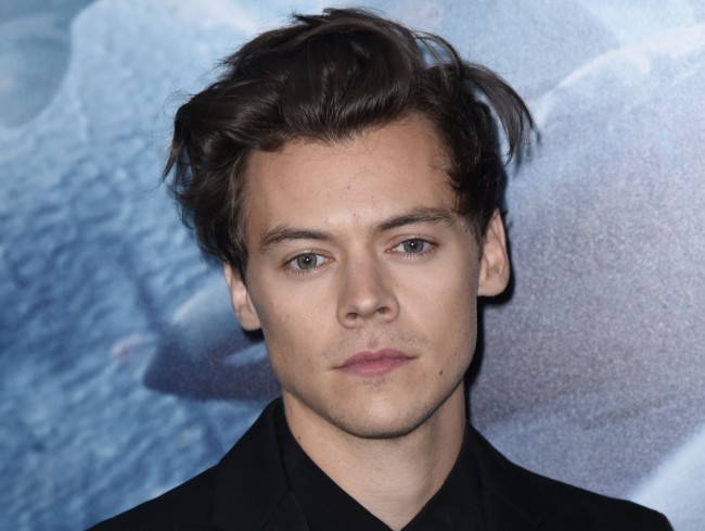 ハリー・スタイルズ、Harry Styles