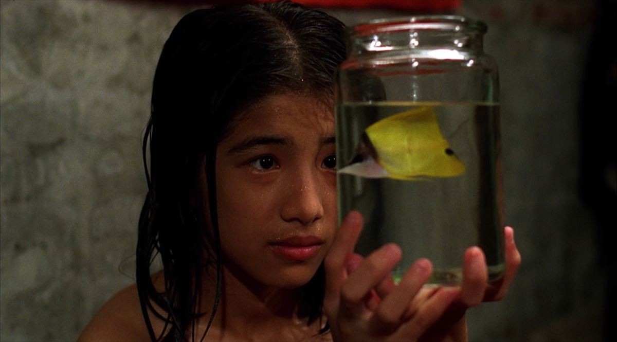 台湾青春映画幻の名作『熱帯魚』『ラブ ゴーゴー』がデジタルリストア版で公開