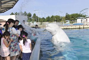 横浜・八景島シーパラダイスで「ナツパラ！」開催