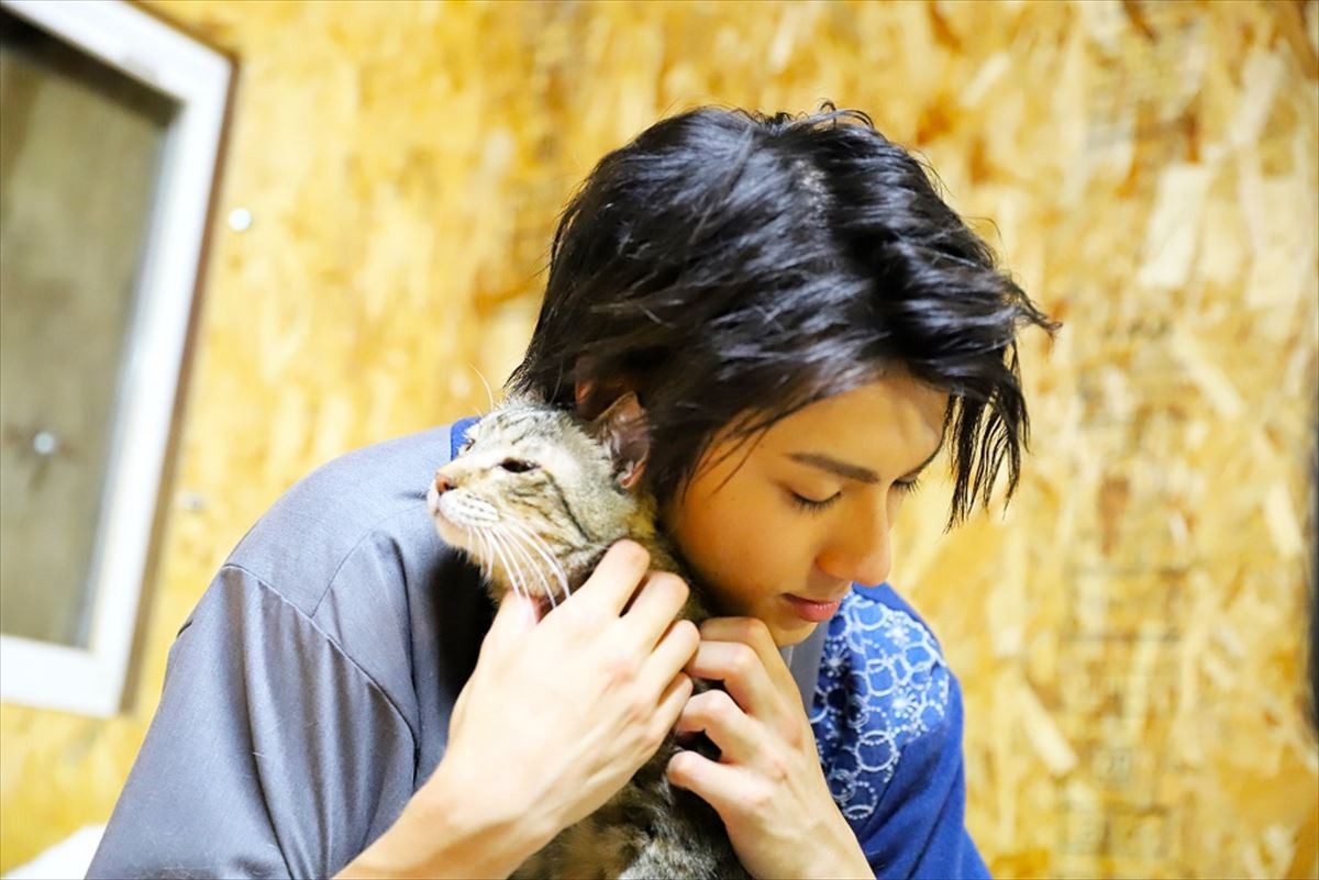 山田裕貴が100匹以上の猫とモフモフ！ ニャンコ王国に潜入