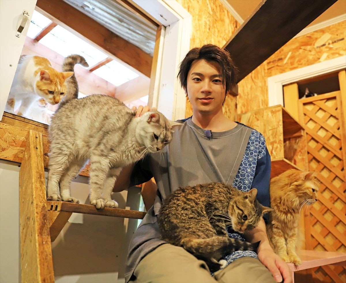 山田裕貴が100匹以上の猫とモフモフ！ ニャンコ王国に潜入