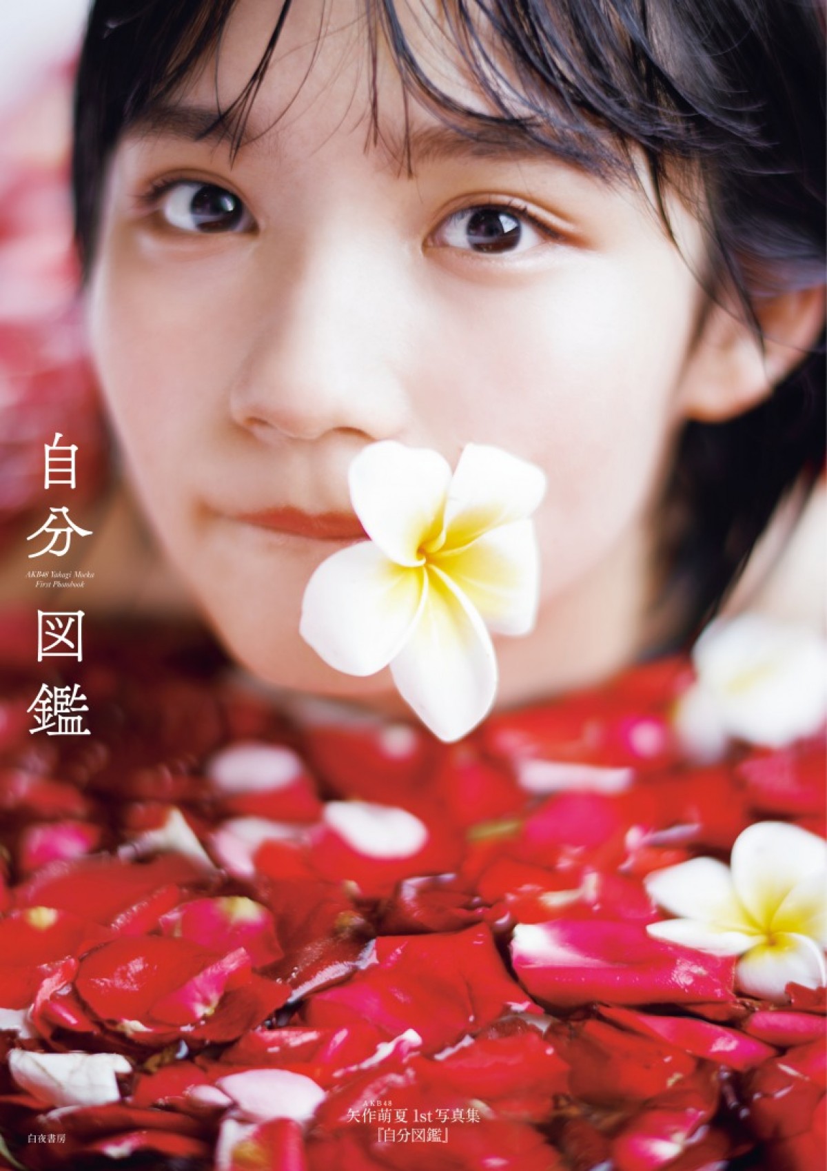 AKB48・矢作萌夏、ファースト写真集表紙カット公開　新曲では初のセンターに