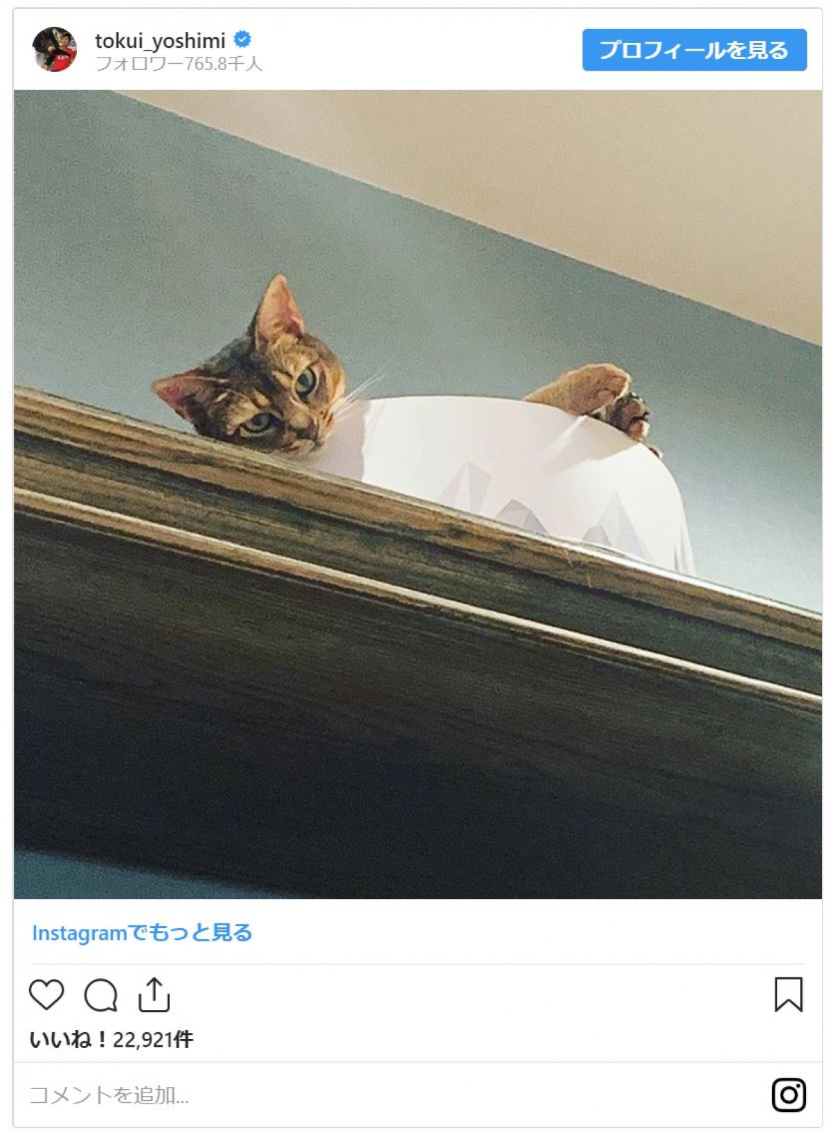 チュートリアル徳井、愛猫につけられた“肉球スタンプ”がかわいすぎる！