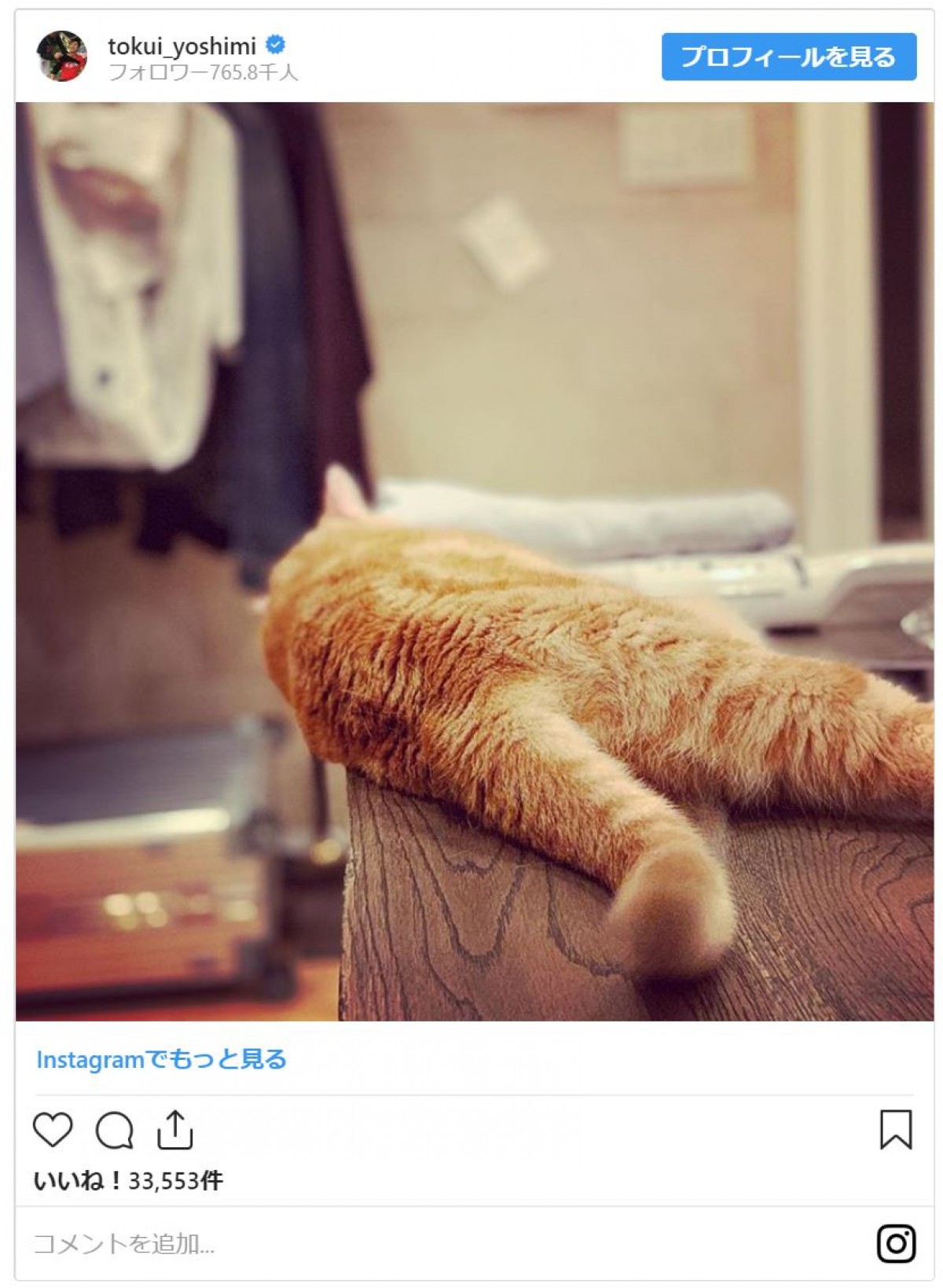 チュートリアル徳井、愛猫につけられた“肉球スタンプ”がかわいすぎる！