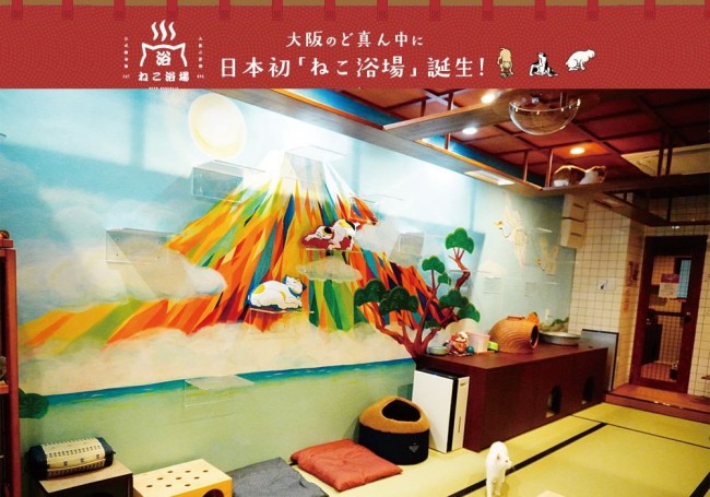 日本初の「ねこ浴場」大阪・心斎橋に誕生！　昭和の大衆銭湯をイメージ