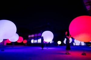 下鴨神社 糺の森の光の祭 Art by teamLab - TOKIO インカラミ