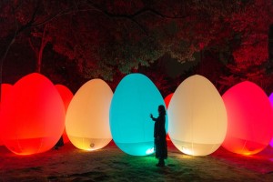 下鴨神社 糺の森の光の祭 Art by teamLab - TOKIO インカラミ