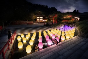 下鴨神社 糺の森の光の祭 Art by teamLab - TOKIO インカラミ