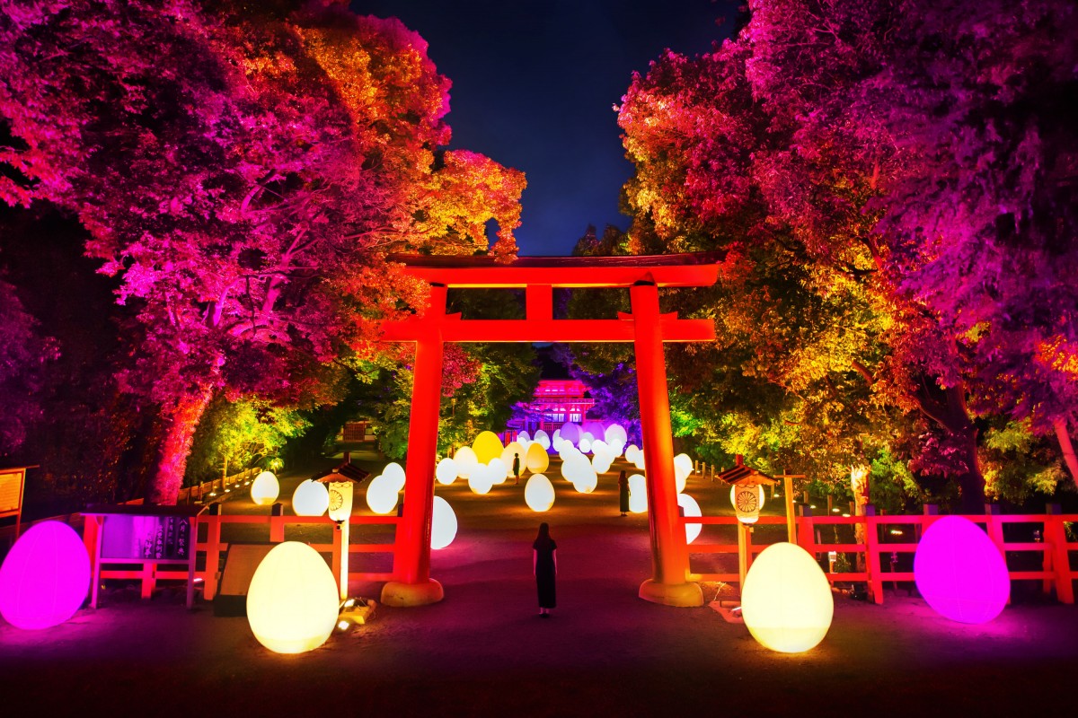 世界遺産が幻想的なアート空間に！　チームラボが下鴨神社でアート展開催