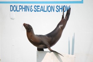 しながわ水族館