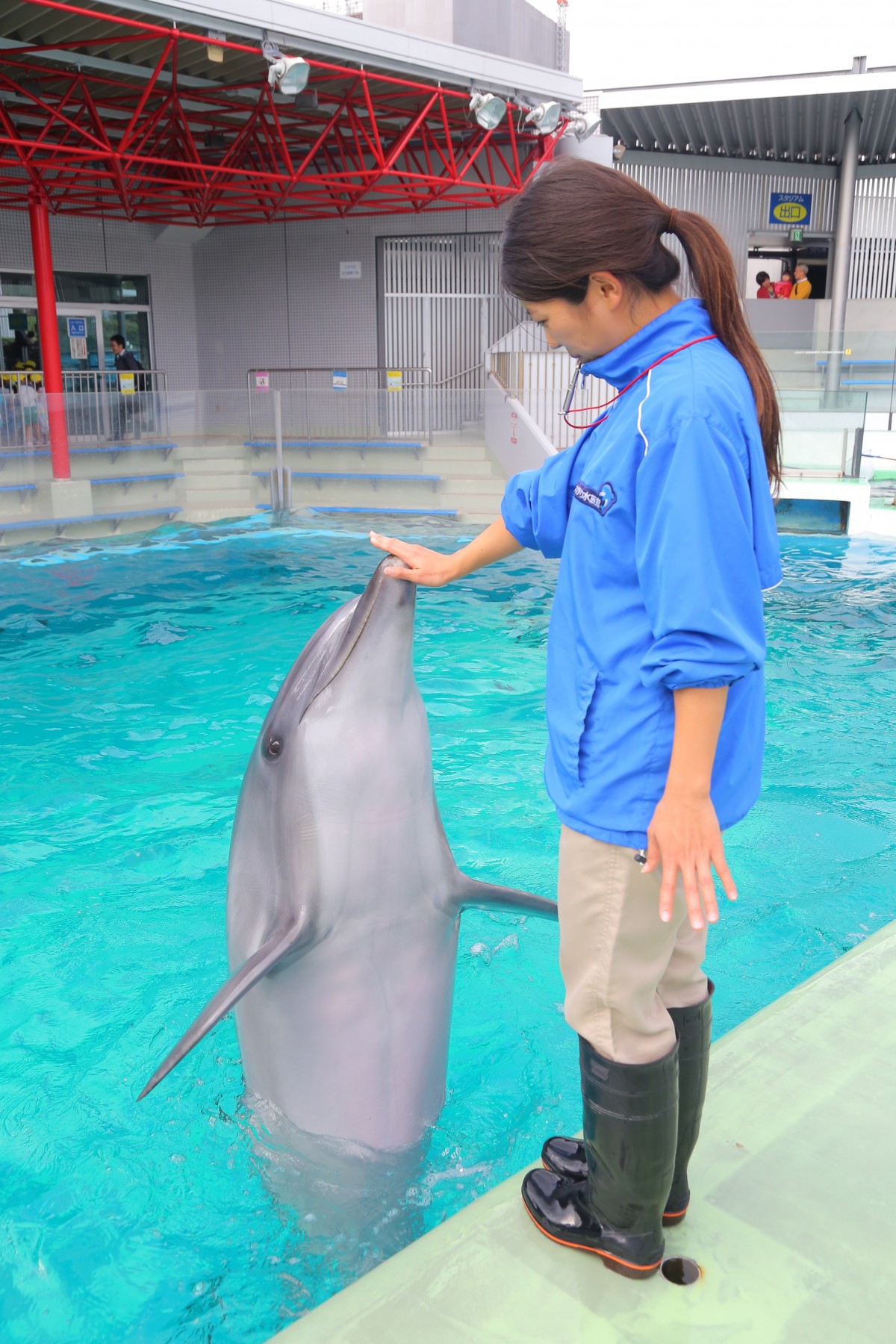 しながわ水族館